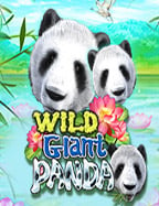 ทาง เข้า slotxo 888: ประสบการณ์การทดลองเล่นที่น่าตื่นเต้น